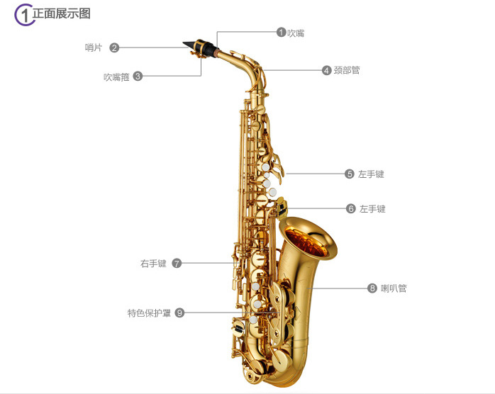 \
